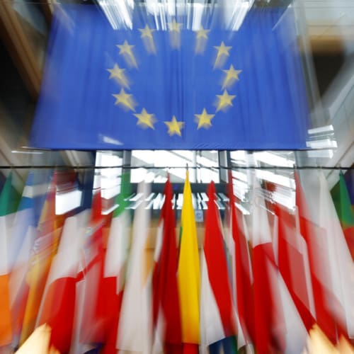 EU flags members