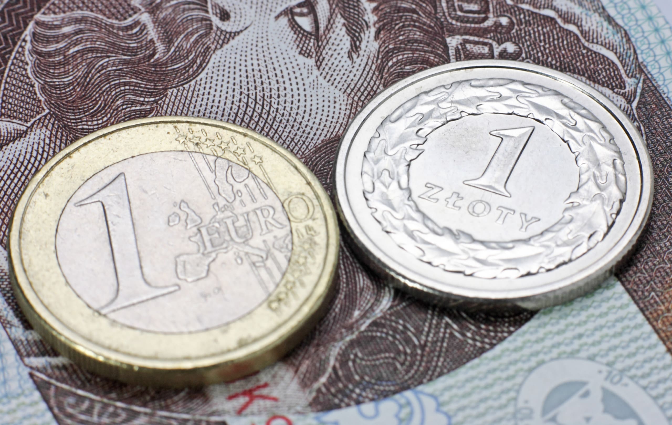 Large majority of Poles reject euro currency